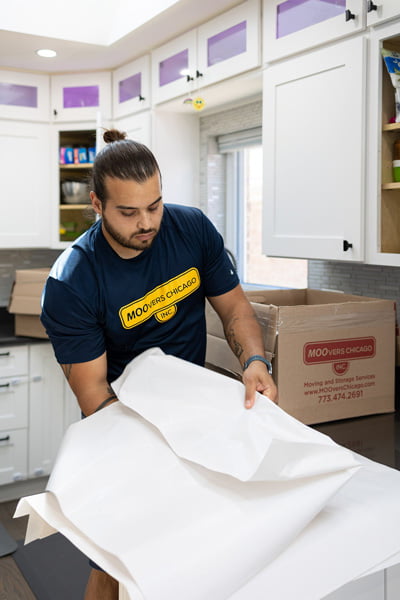 Moving Services in South Loop, IL