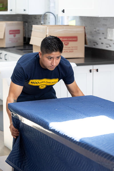 Moving Services in Burr Ridge, IL