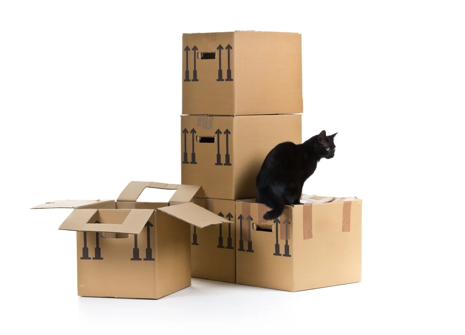 Moovers Chicago – Trusted Moving Services Black cat sitting on moving boxes, Moovers Chicago moving company.