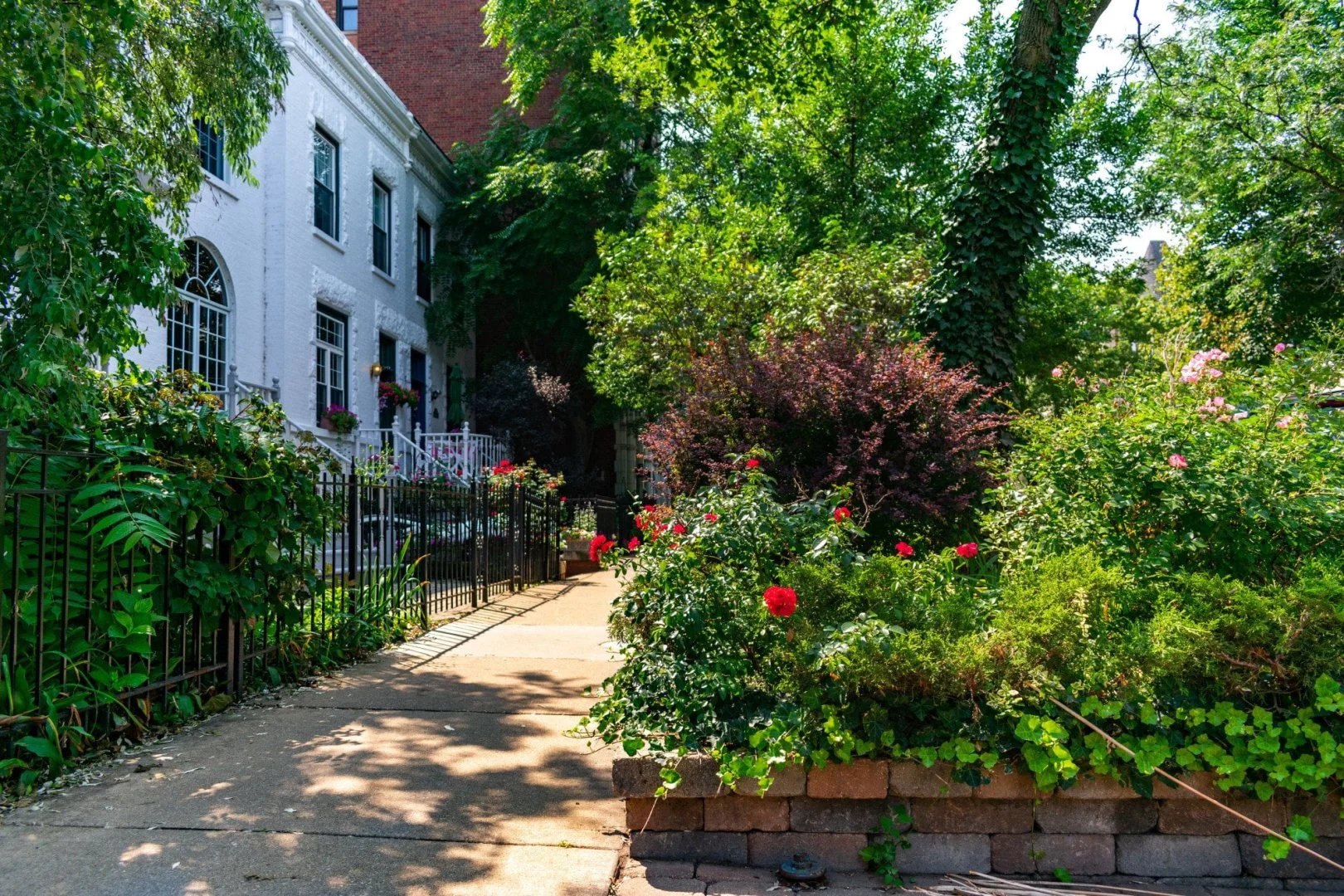 Charming Chicago Neighborhood Charming Chicago neighborhood with lush greenery and historic homes.