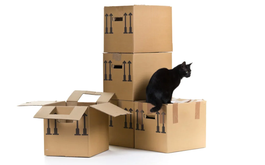 Moving Made Easy: The Best Chicago Movers