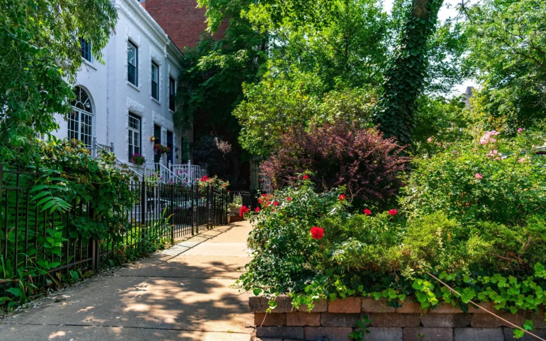 Why Are These the Safest Chicago Neighborhoods?